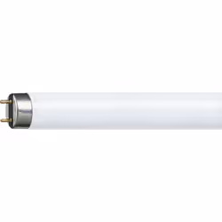 Philips MASTER TL-D Super 80, 30 W, G13, T8, 2400 lm, Bianco caldo
