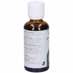 A.Vogel Echinaforce Integratore per Difese Immunitarie Gocce Orali 50ml