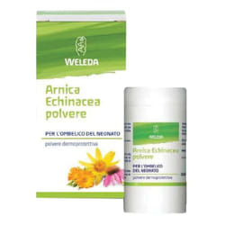 Weleda Arnica Echinacea Polvere Cutanea 20g