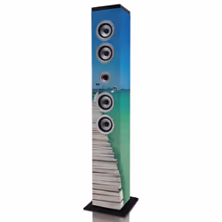 Ices IBT-6, Multicolore, 40 W, Batteria, SD, 0,5 W, 150 mm
