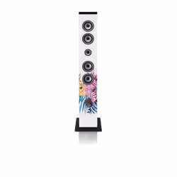 Ices IBT-6, Multicolore, 40 W, AC, Batteria, SD, Next, Pausa, Riproduzione, Precedente, Manopola