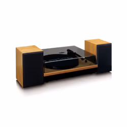 Lenco LS-300 Giradischi con trasmissione a cinghia Nero, Legno - Vista aggiuntiva 6