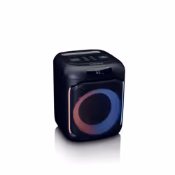 Lenco PA-100BK altoparlante 1-via Nero Wireless 100 W