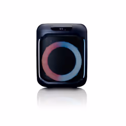 Lenco PA-100BK altoparlante 1-via Nero Wireless 100 W