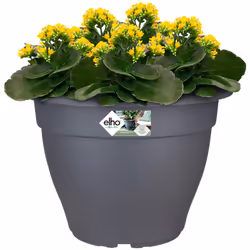 Date un tocco di colore al giardino e al balcone con la fioriera! Formoso, robusto e riciclabile: Il vaso per fiori dal desig ...