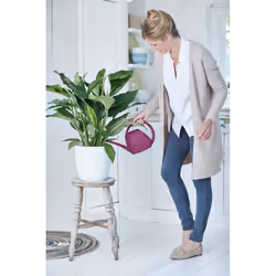 elho brussels round 25cm Interno Vaso a cubo Libera installazione Polipropilene (PP) Bianco - Vista aggiuntiva 5