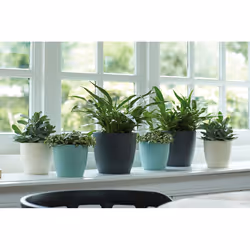 elho brussels round 25cm Interno Vaso a cubo Libera installazione Polipropilene (PP) Antracite - Vista aggiuntiva 6