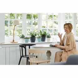 elho brussels round 30cm Interno Vaso a cubo Libera installazione Polipropilene (PP) Bianco - Vista aggiuntiva 5