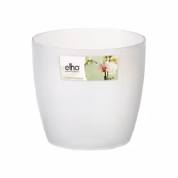 elho Coprivaso per orchidea 12,5 cm trasparente, Vaso a cubo, Libera installazione, Polipropilene (PP), Trasparente, Rotondo, ...