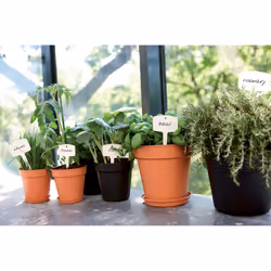 elho 8711904106607 fioriera Interno/esterno Plastica Nero - Vista aggiuntiva 4