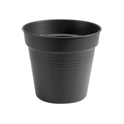 elho 8711904106782 fioriera Interno/esterno Plastica Nero