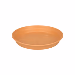 elho green basics saucer 22cm, Sottovaso, Polipropilene, Terracotta, 32 mm, 50 g, 21,5 cm