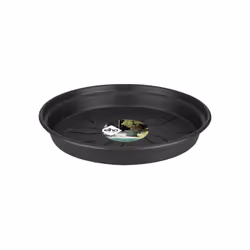 elho 8711904107260 accessorio per vaso Sottovaso