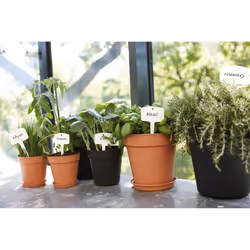 elho 8711904107260 accessorio per vaso Sottovaso