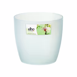 elho Coprivaso per orchidea 16 cm trasparente, Vaso a cubo, Libera installazione, Polipropilene (PP), Translucent, Rotondo, I ...
