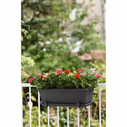 elho 8711904121181 accessorio per vaso Sottovaso