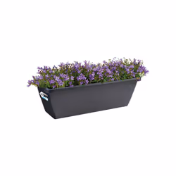 elho barcelona trough 50cm Esterno Vaso a cubo Libera installazione Polipropilene (PP) Antracite