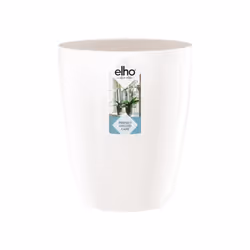 elho brussels diamond orchid high 12.5cm Interno Vaso a cubo Libera installazione Polipropilene (PP) Bianco