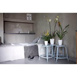 elho brussels diamond orchid high 12.5cm Interno Vaso a cubo Libera installazione Polipropilene (PP) Bianco - Vista aggiuntiva 5