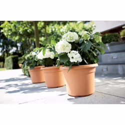 elho 8711904138790 vaso da fiori Marrone Plastica - Vista aggiuntiva 5