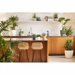 elho 8711904142322 vaso da fiori Bianco Plastica - Vista aggiuntiva 8