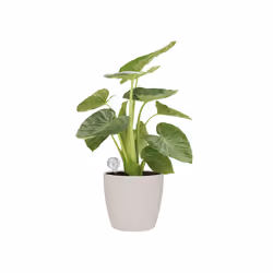 elho aqua care