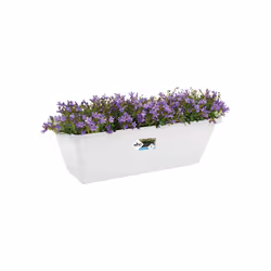 elho barcelona trough 70cm Esterno Vaso a cubo Libera installazione Polipropilene (PP) Bianco