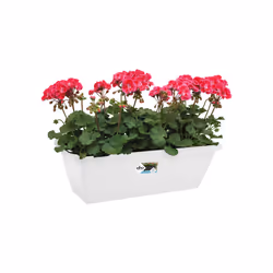 elho barcelona trough 70cm Esterno Vaso a cubo Libera installazione Polipropilene (PP) Bianco - Vista aggiuntiva 4