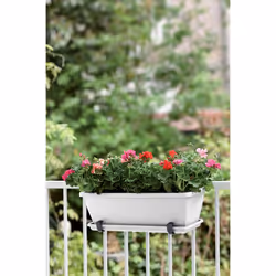 elho barcelona trough 70cm Esterno Vaso a cubo Libera installazione Polipropilene (PP) Bianco - Vista aggiuntiva 6