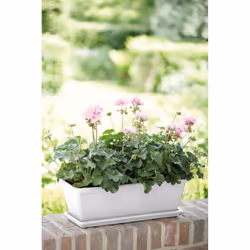 elho barcelona trough 70cm Esterno Vaso a cubo Libera installazione Polipropilene (PP) Bianco - Vista aggiuntiva 7