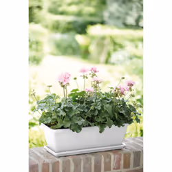 elho 8711904154196 accessorio per vaso Sottovaso