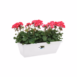 elho 8711904157272 fioriera Esterno Plastica Bianco