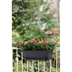 elho 8711904157401 fioriera Esterno Plastica Nero - Vista aggiuntiva 4
