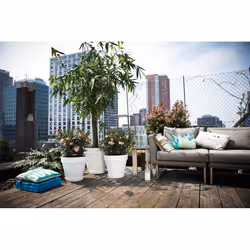 elho loft urban round 50 Esterno Vaso a cubo Libera installazione Polipropilene (PP) Bianco - Vista aggiuntiva 4