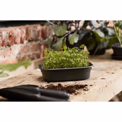 elho 8711904194307 accessorio per vaso - Vista aggiuntiva 4