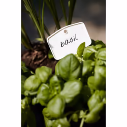 elho green basics plantlabels s Etichetta per pianta