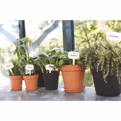 elho green basics plantlabels s Etichetta per pianta - Vista aggiuntiva 5
