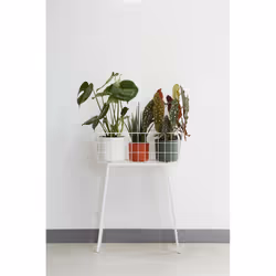 elho 8711904229252 vaso da fiori Bianco Plastica - Vista aggiuntiva 6
