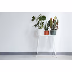 elho 8711904229252 vaso da fiori Bianco Plastica - Vista aggiuntiva 7