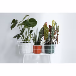 elho 8711904229252 vaso da fiori Bianco Plastica - Vista aggiuntiva 8