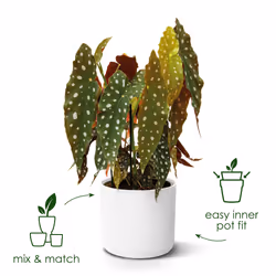 elho 8711904229610 vaso da fiori Bianco Plastica - Vista aggiuntiva 6