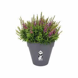 elho loft urban round 25 Esterno Vaso a cubo Libera installazione Polipropilene (PP) Antracite - Vista aggiuntiva 4