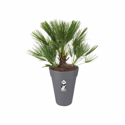 elho loft urban round high 28 Esterno Vaso a cubo Libera installazione Polipropilene (PP) Antracite