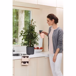 elho b.for soft round 22cm Interno Vaso a cubo Libera installazione Polipropilene (PP) Antracite - Vista aggiuntiva 8