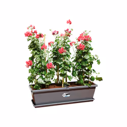 elho 8711904247102 accessorio per vaso Sottovaso