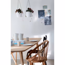 elho brussels hanging basket 18cm Interno Vaso a cesto Da appendere Polipropilene (PP) Antracite - Vista aggiuntiva 6