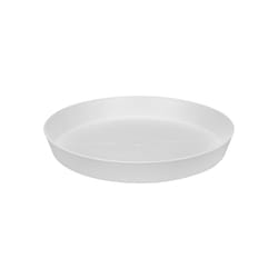 elho 8711904249984 accessorio per vaso Sottovaso