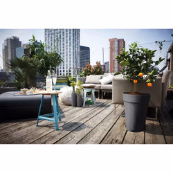 elho 8711904250041 accessorio per vaso Sottovaso
