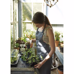 elho green basics growpot Interno/esterno Vaso a cubo Libera installazione Polipropilene (PP) Nero - Vista aggiuntiva 4