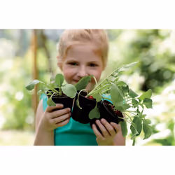 elho green basics growpot Interno/esterno Vaso a cubo Libera installazione Polipropilene (PP) Nero - Vista aggiuntiva 5